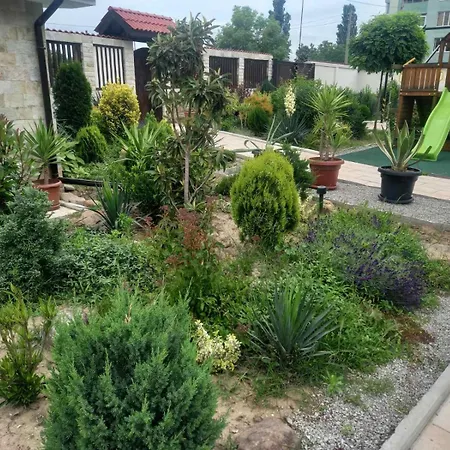 Stariya Oreh Pool & Garden 3* Vidin