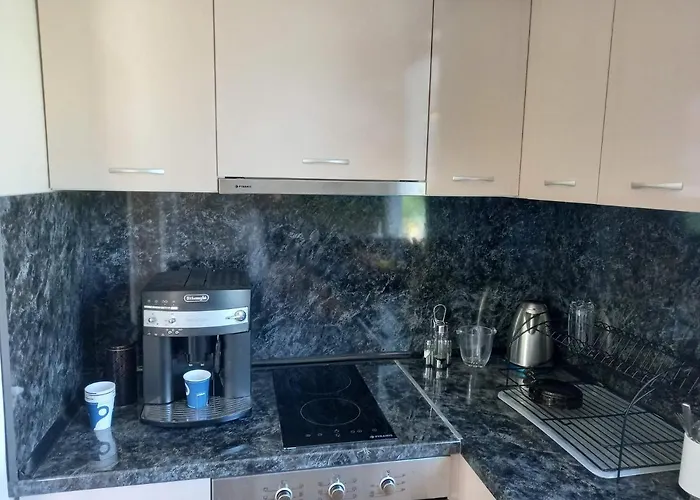 Konukevi Stariya Oreh Pool&garden Vidin