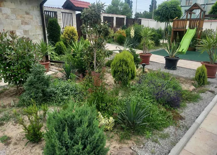 Stariya Oreh Pool&garden 3* Vidin